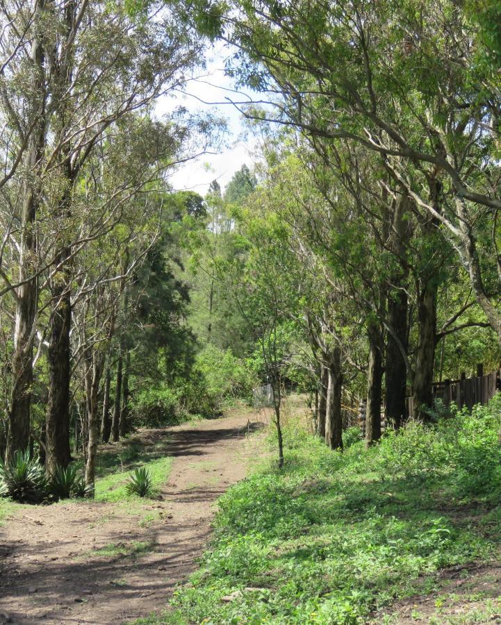 Misty View Farm Stay Layitemeni المظهر الخارجي الصورة